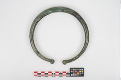Foto von Bronzehohlblechhalsreif (NHMW-PRAE-024080)